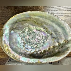 Abalone Shell